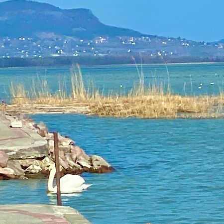 Lavender Cottage Balatongyörök Екстериор снимка