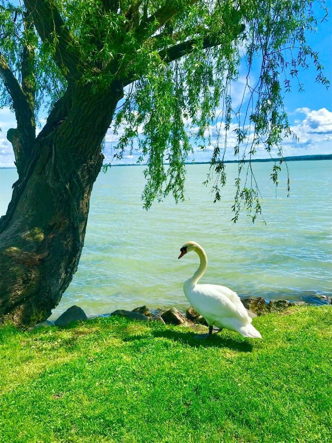 Lavender Cottage Balatongyörök Екстериор снимка